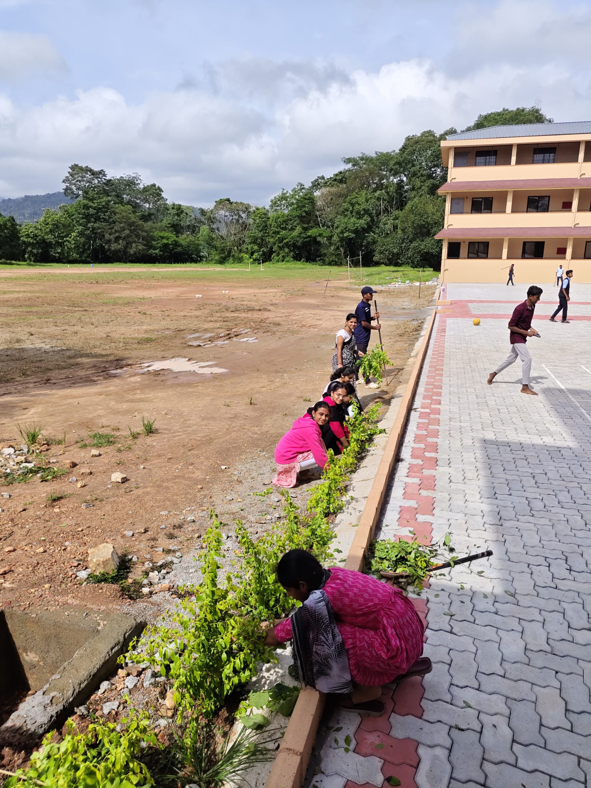Gardening by Students
